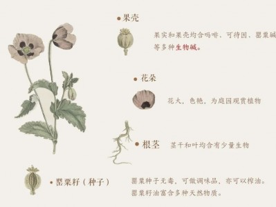 更本御米油,源自御膳房,重回百姓家