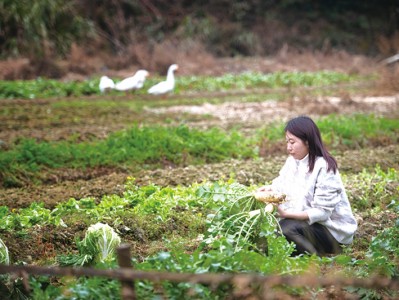 媒体人“变形”新农人,以互联网思维唱响田园牧歌
